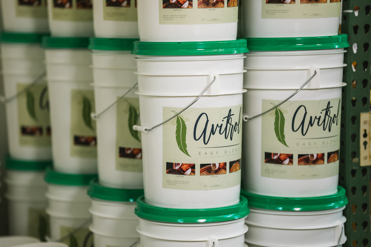 Avitrol Easy Blend - Coarse Mixed Grains (EB041)