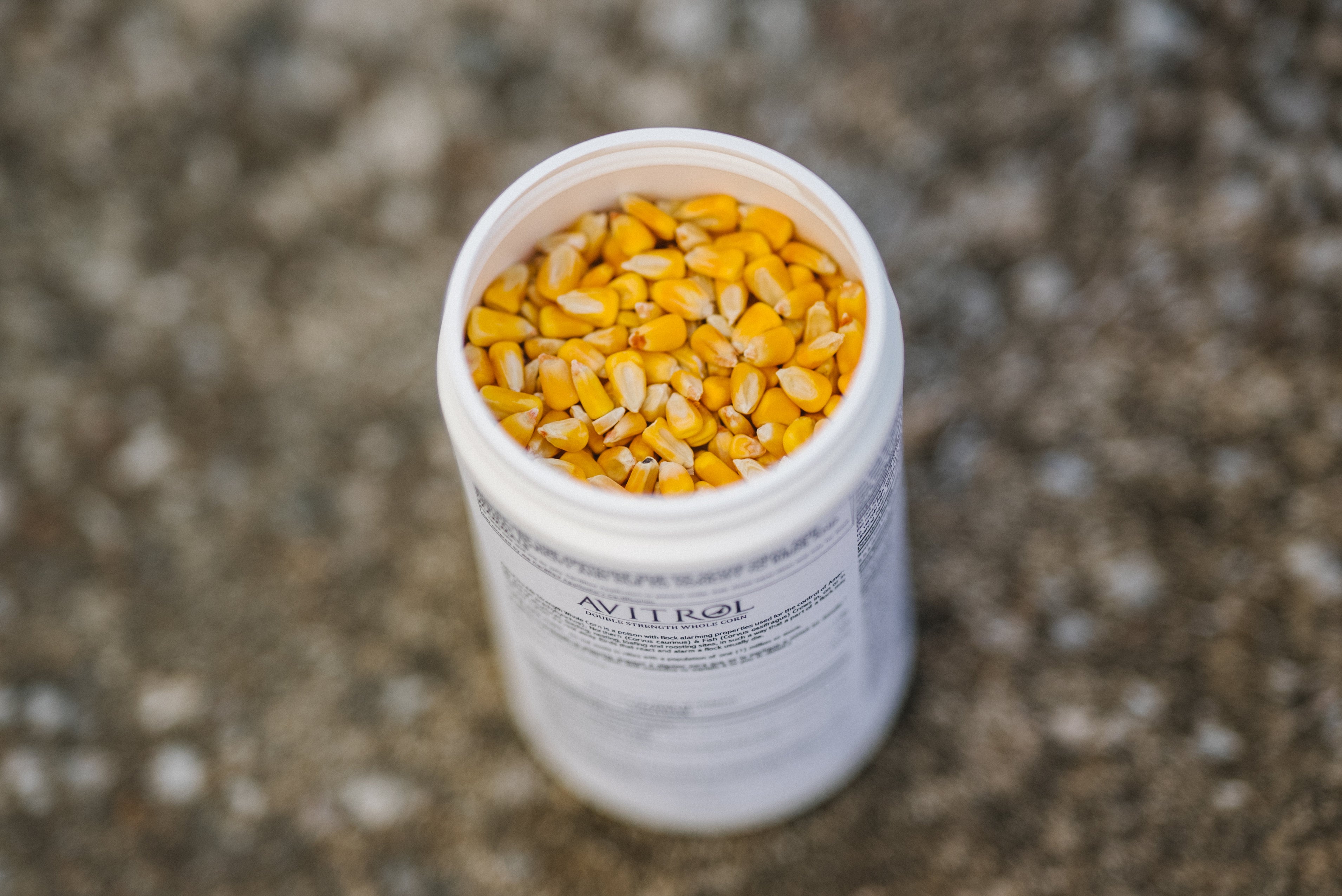 Avitrol Double Strength Whole Corn (11649-8)