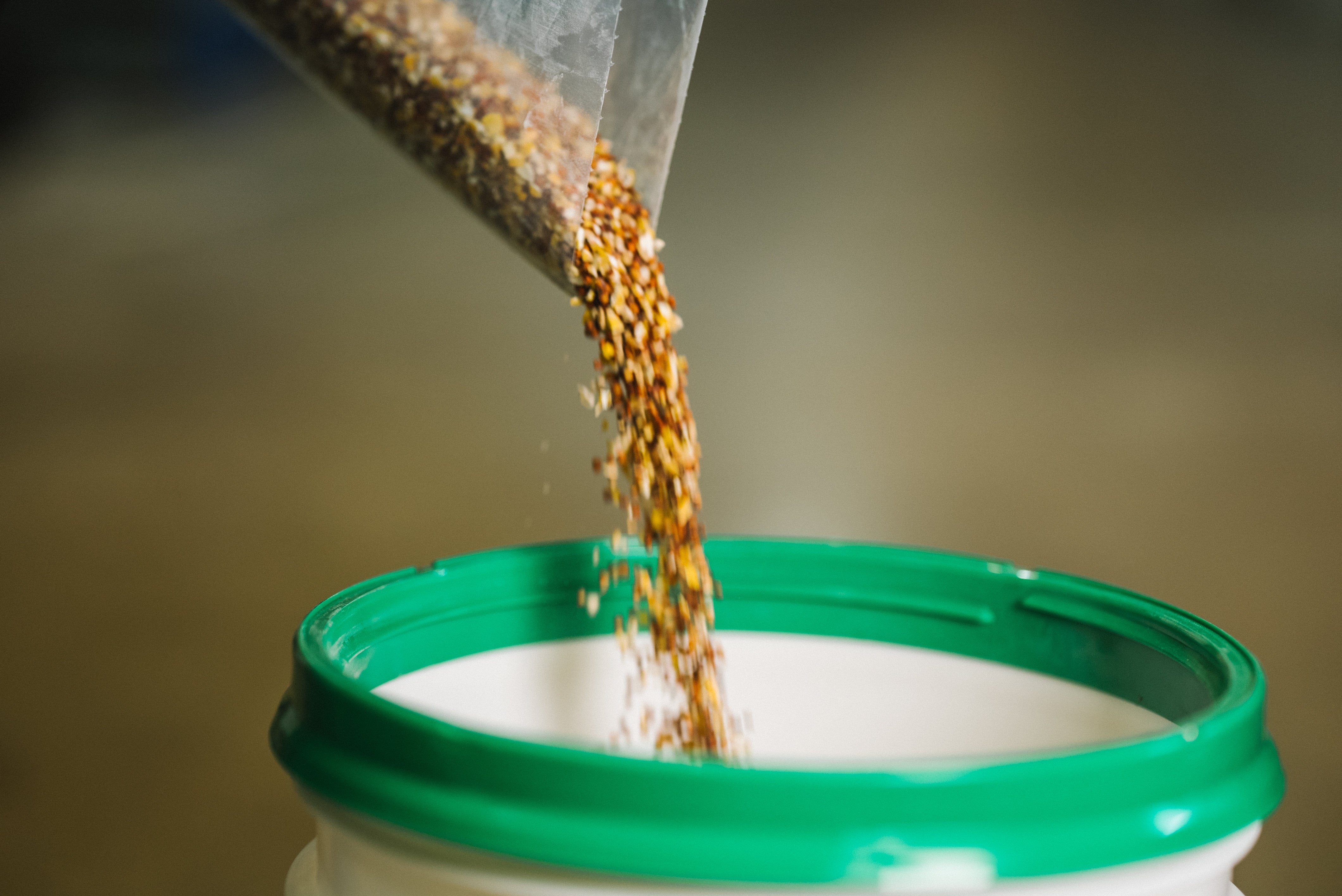 Avitrol Easy Blend - Coarse Mixed Grains (EB041)