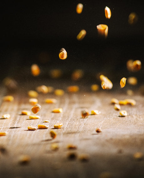 Untreated Whole Corn for Pre-bait (PB070)