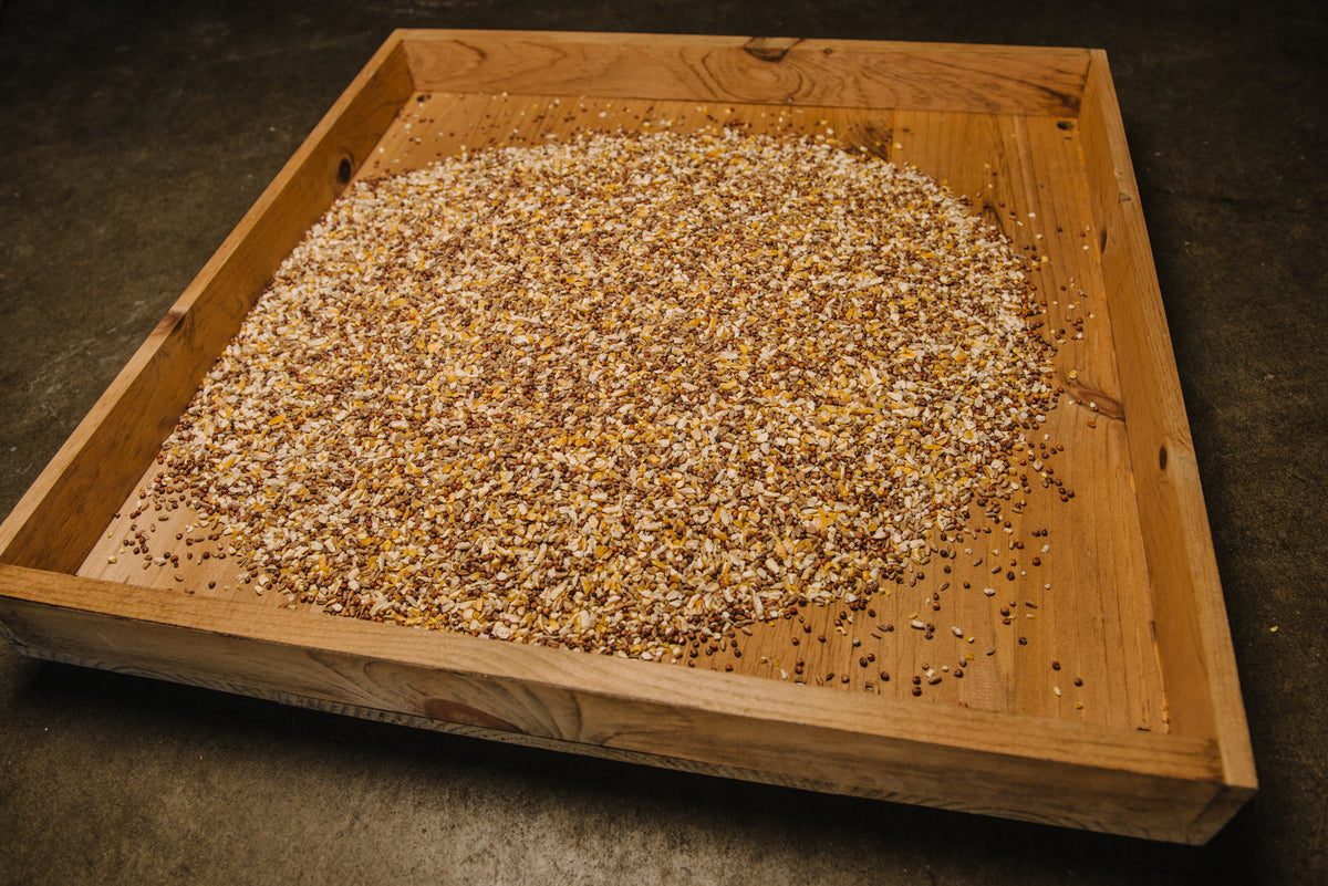 Large Baiting Tray Bundle
