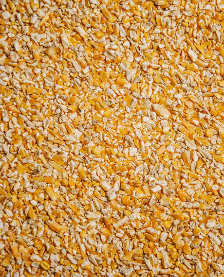Untreated Medium Corn Chops (PB011)