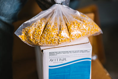 Avitrol Whole Corn (11649-7)