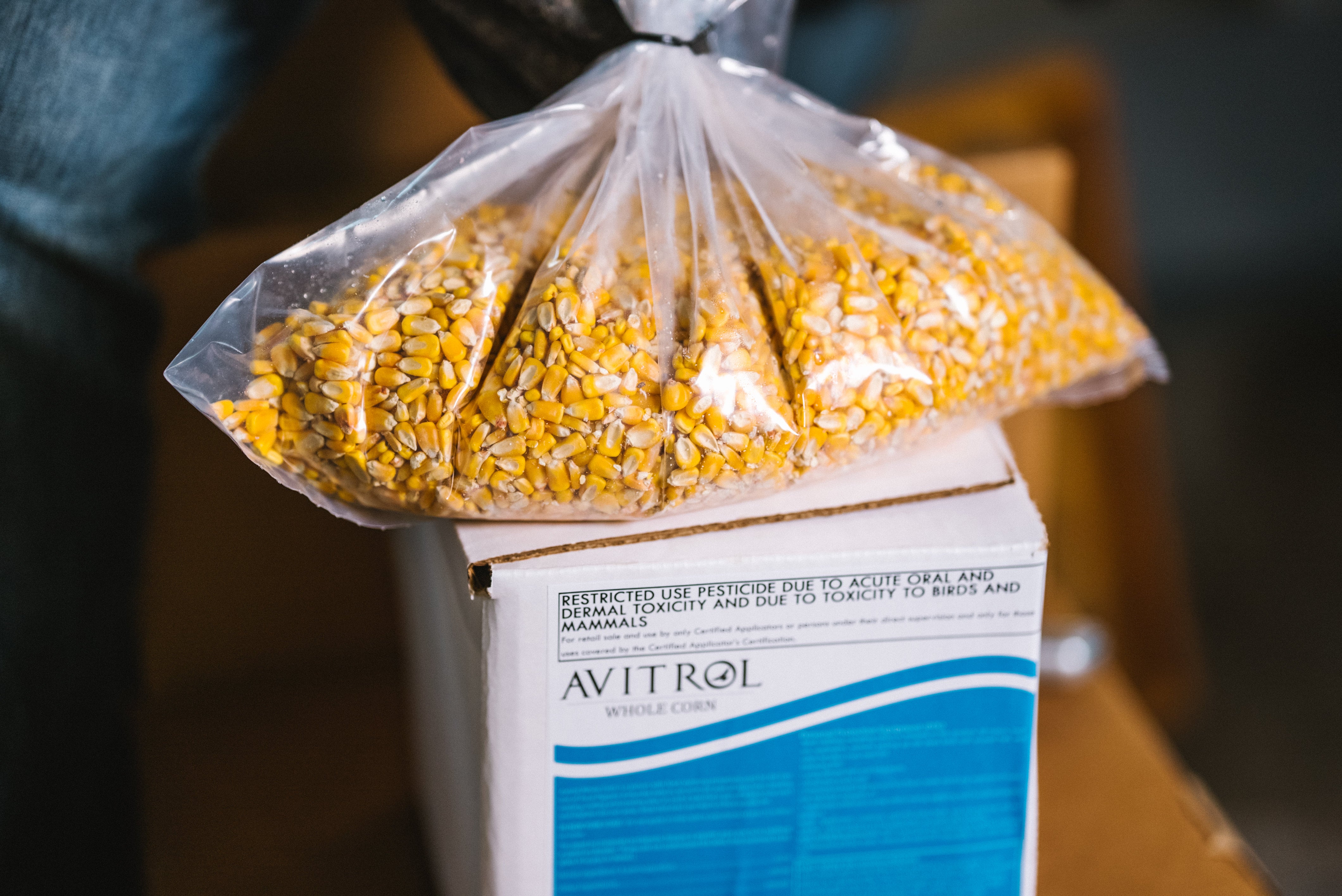 Avitrol Whole Corn (11649-7)