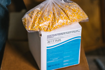Avitrol Double Strength Whole Corn (11649-8)