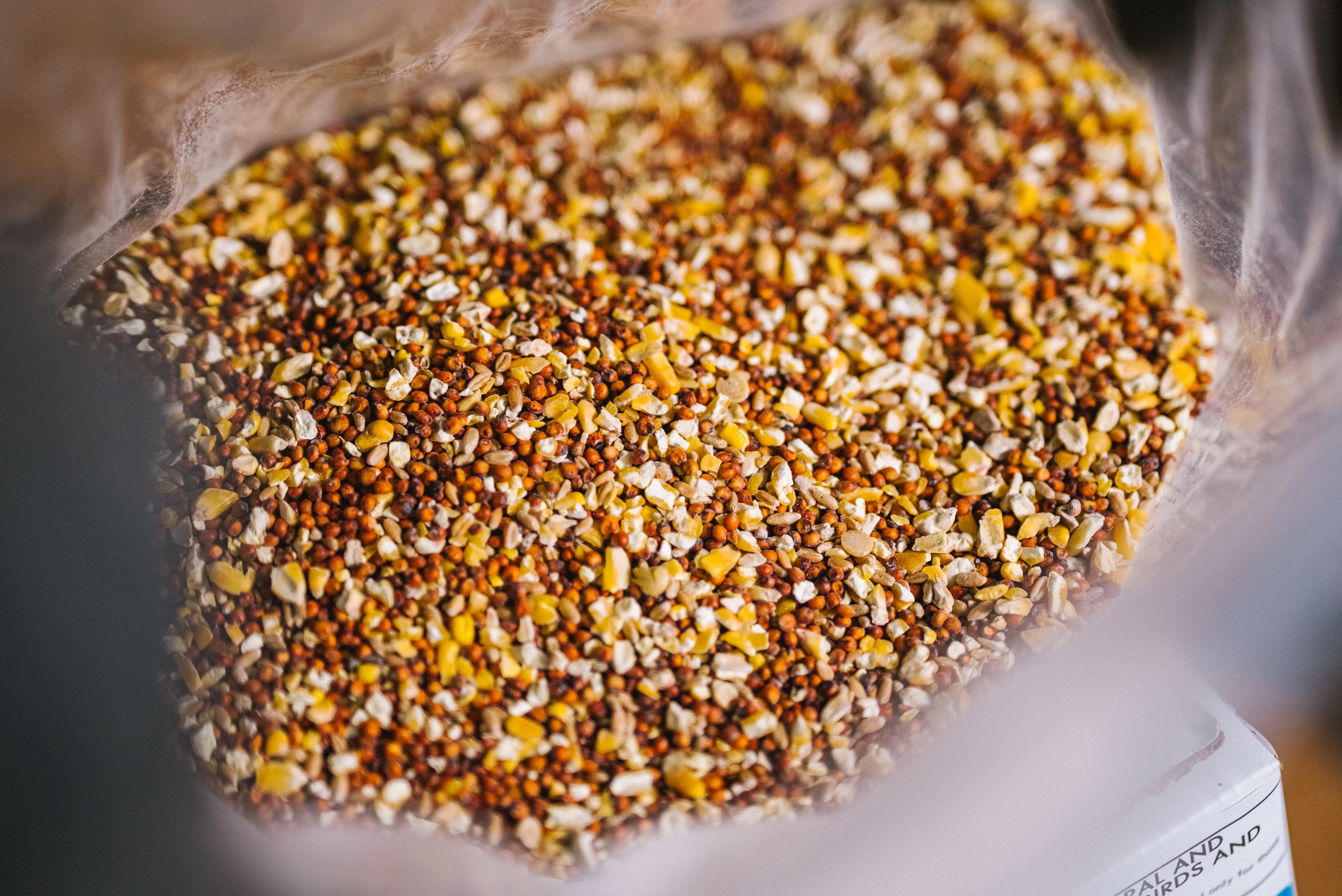 Avitrol Mixed Grains (Custom Mixture) (11649-4)