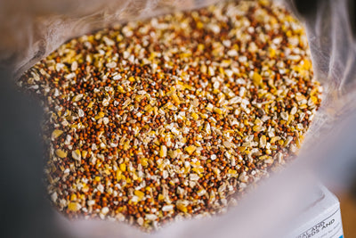 Avitrol Fine Mixed Grains (11649-4)