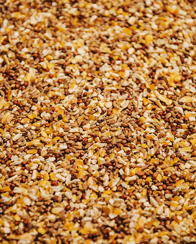 Untreated Mixed Grains (PB041)