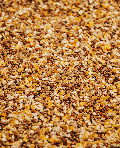 Untreated Mixed Grains (PB041)