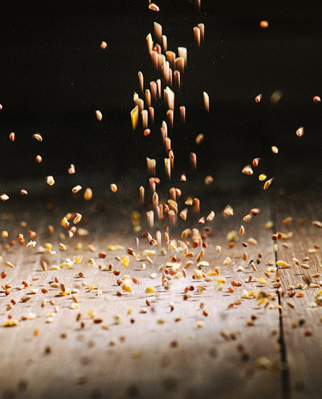 Untreated Mixed Grains (PB041)