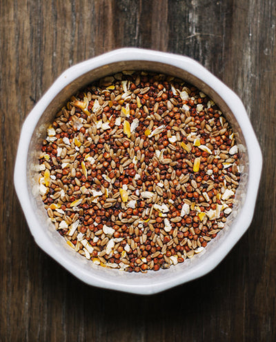 Untreated Mixed Grains (PB041)