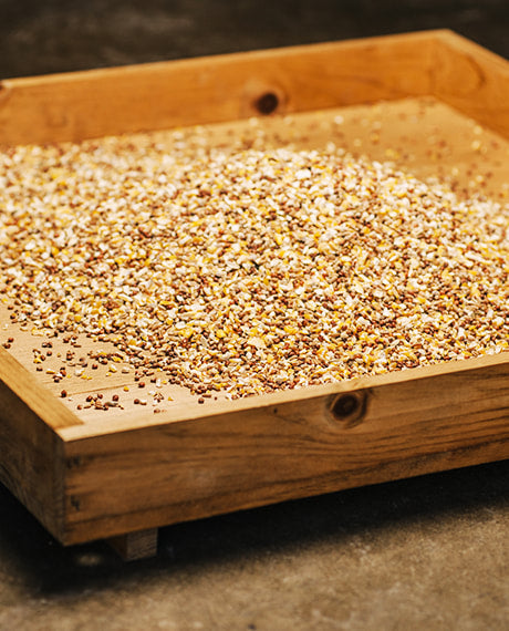 Large Baiting Tray